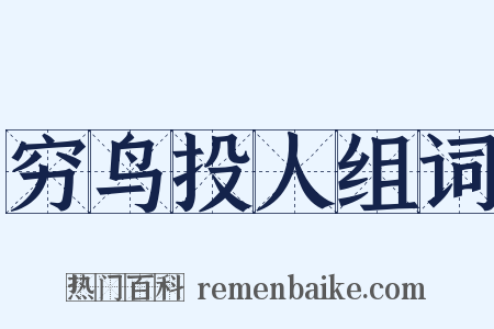 穷鸟投人组词是什么意思的图片